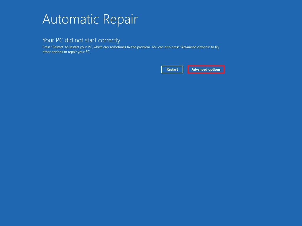 Automatic repair advanced options