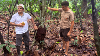 Chocolatier Juan Carlos Sibaja hosts a tour of his Sibaeli plantation, Costa Rica