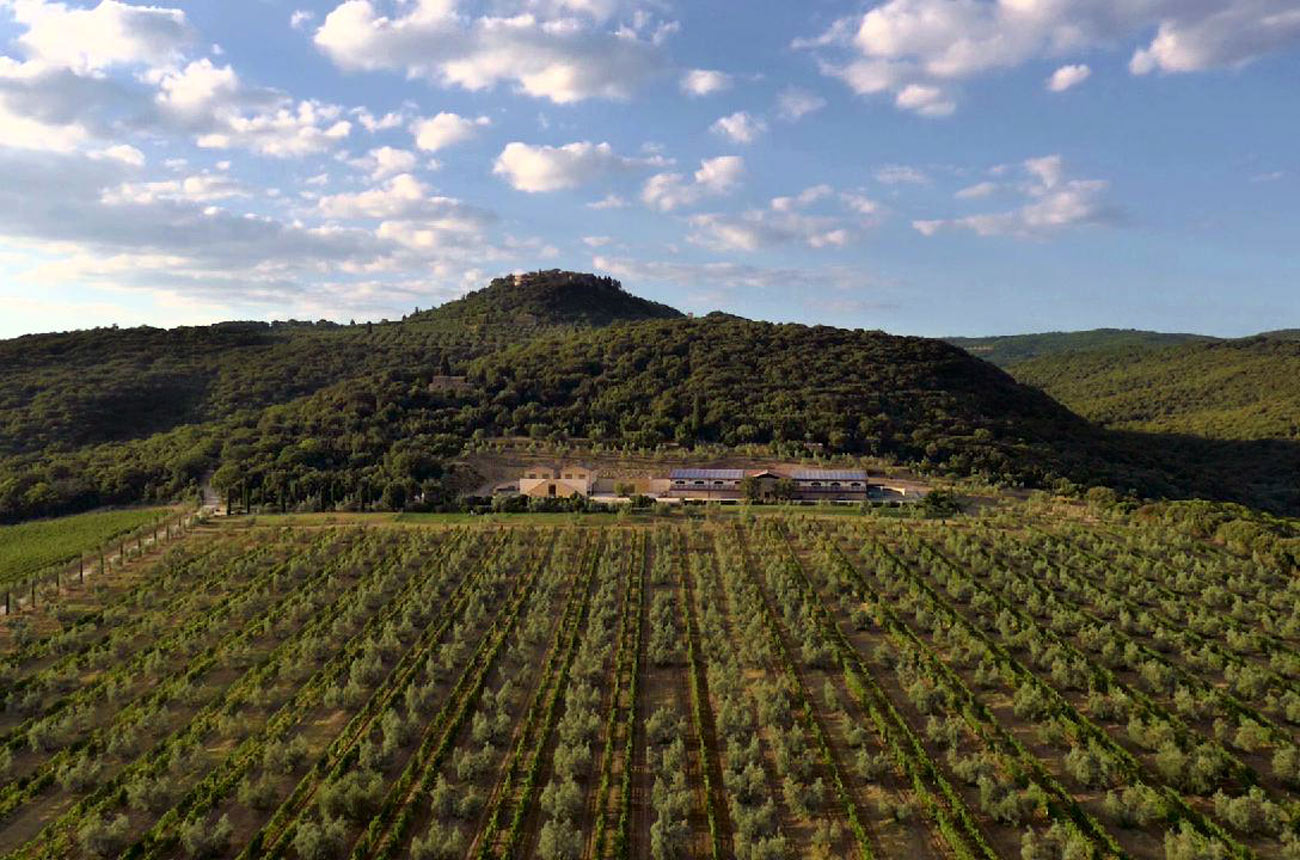 Il Poggione I Paganelli Vineyard