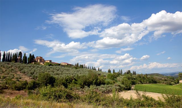 Buying farmland in Italy