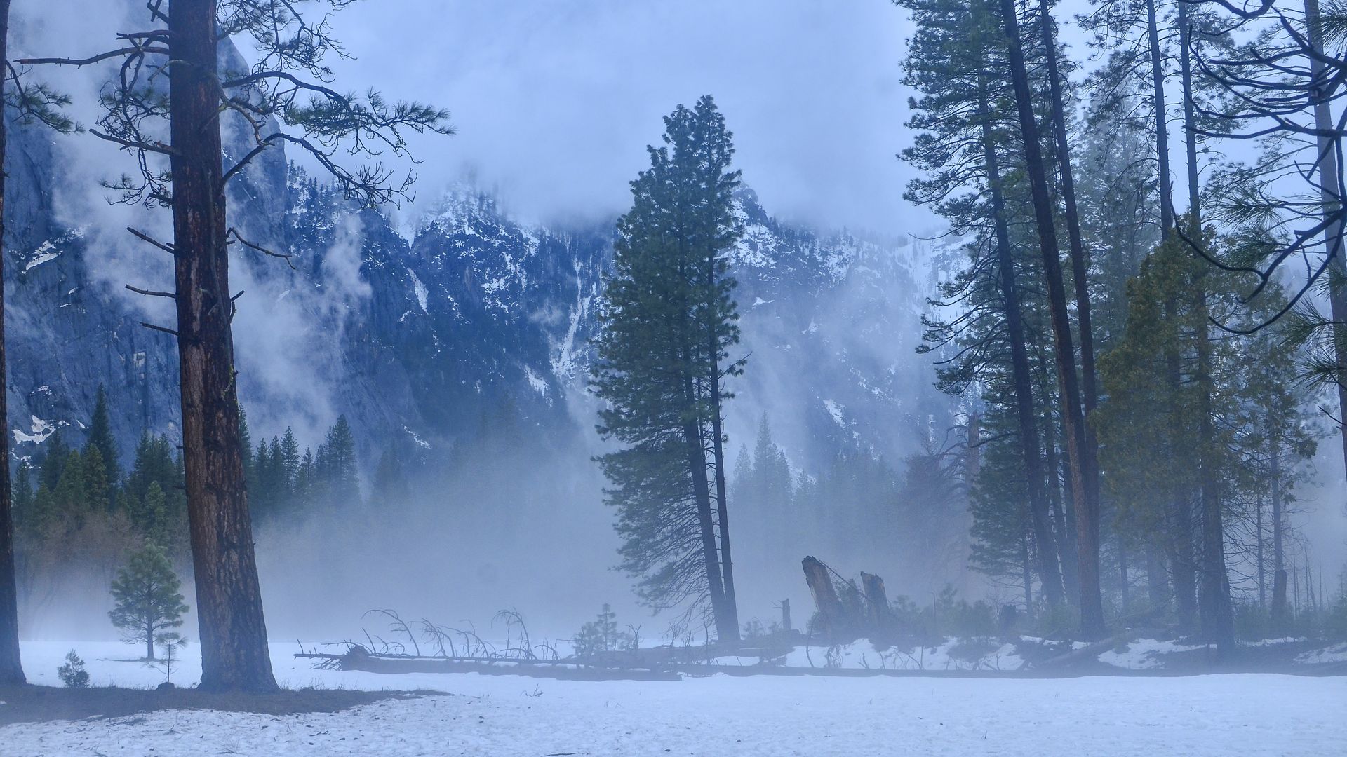 Yosemite National Park closed after high winds damage houses Advnture