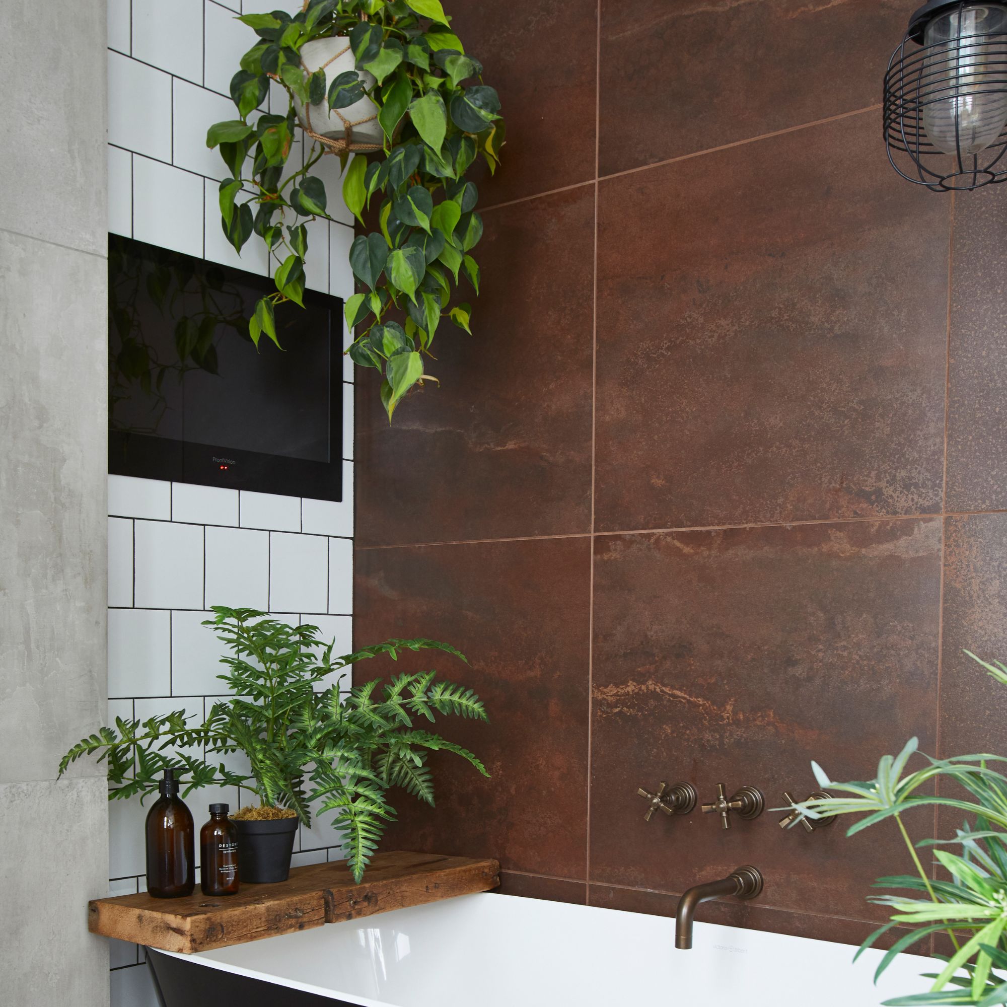 houseplants in bathroom