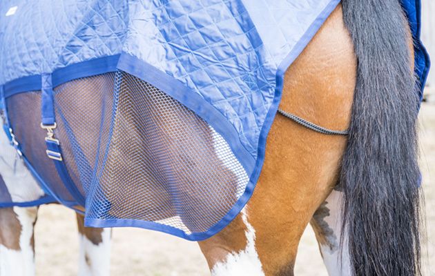 Aerochill Cooling Rug review