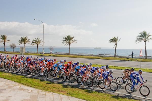 Beautiful day to go to the beach in Mallorca, or to have a bike race!