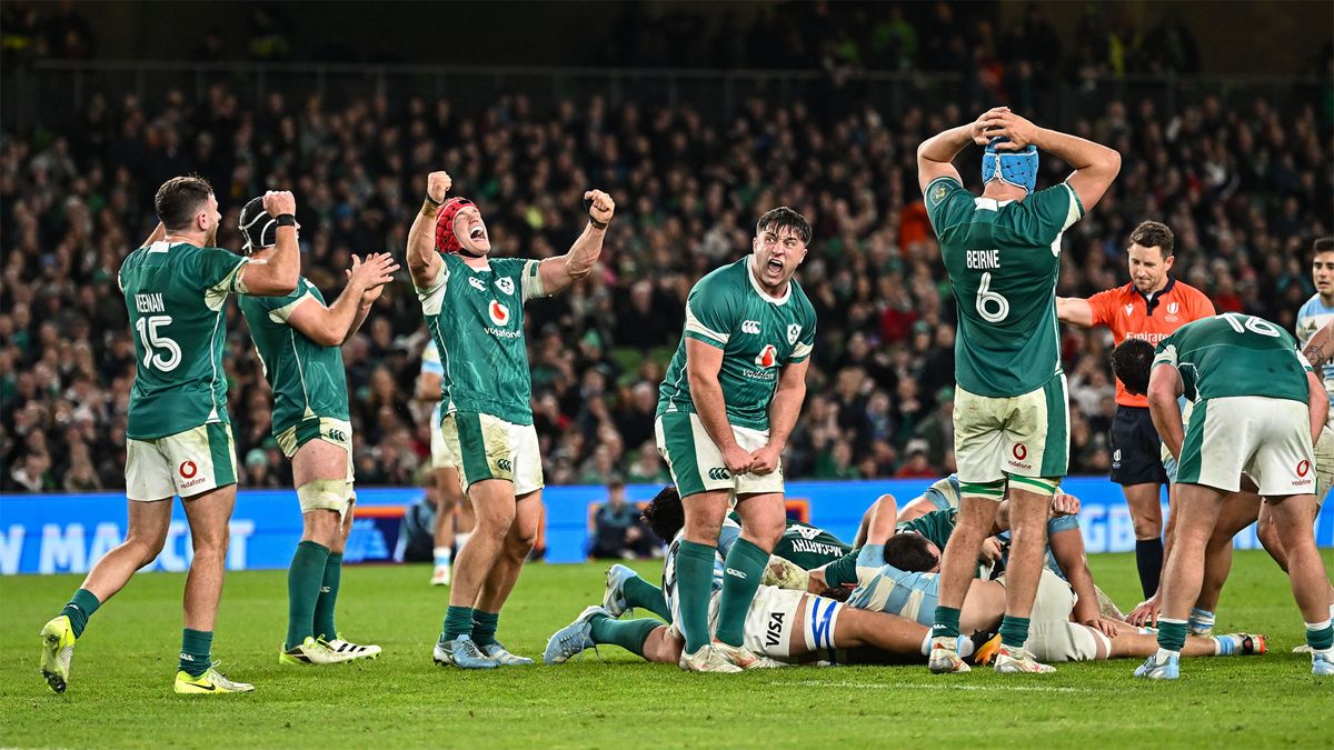 Ireland players celebrate after scoring a try against Argentina in the November 2024 international