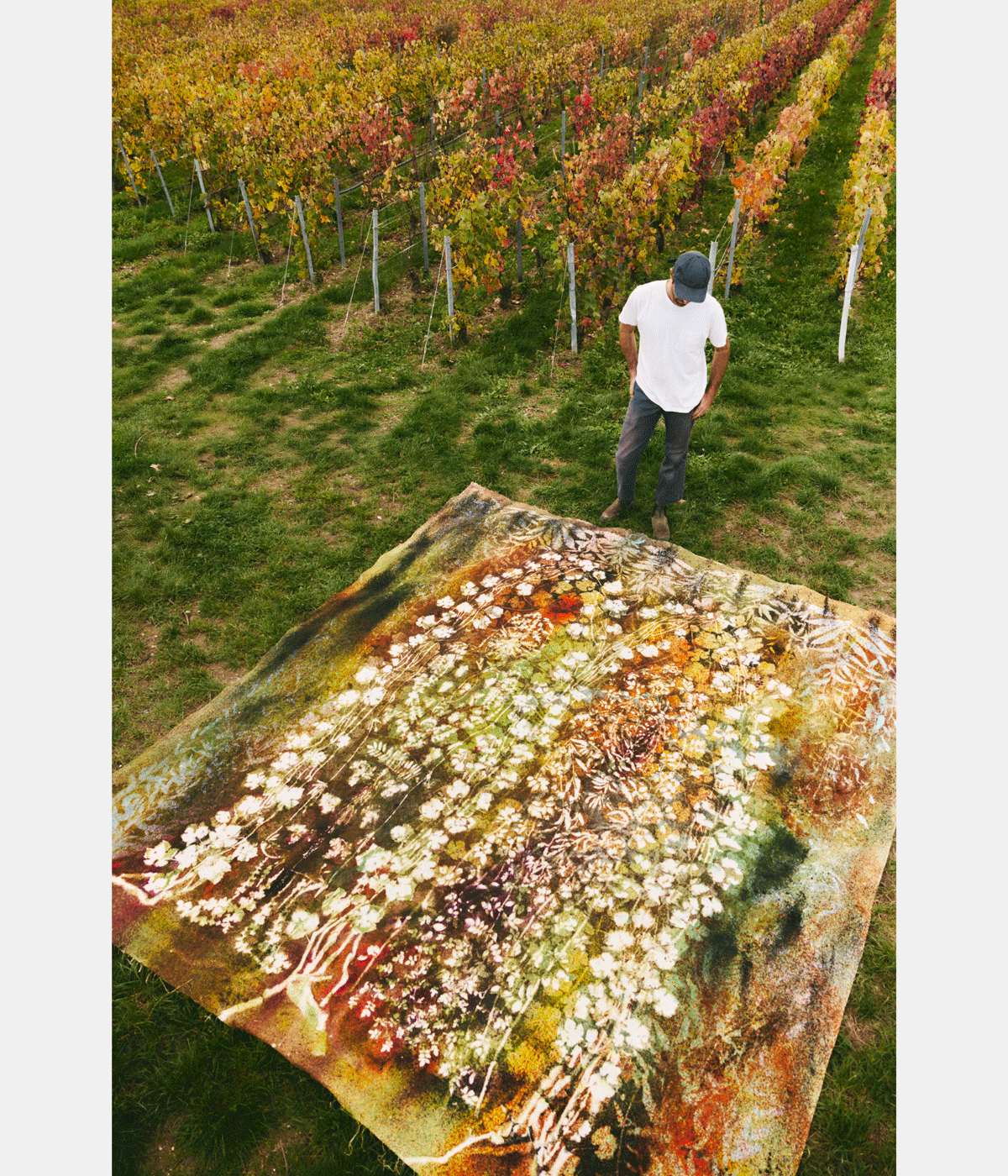 man painting in a vineyard