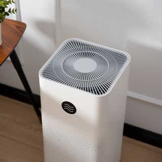 White large capacity air purifier displayed in room