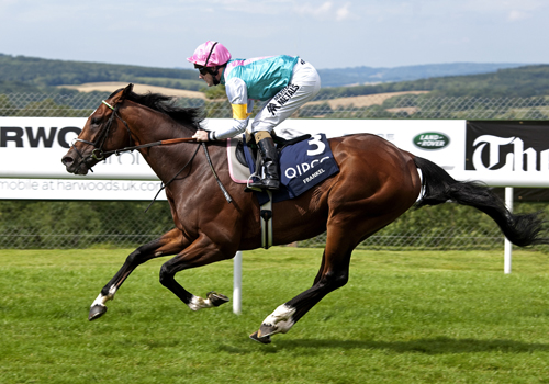 Frankel%20package.jpg
