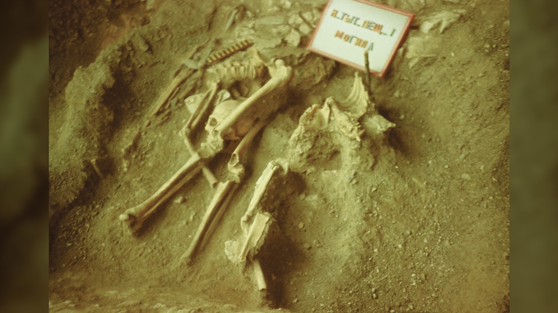 Human remains found in grave.