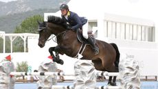 international showjumper