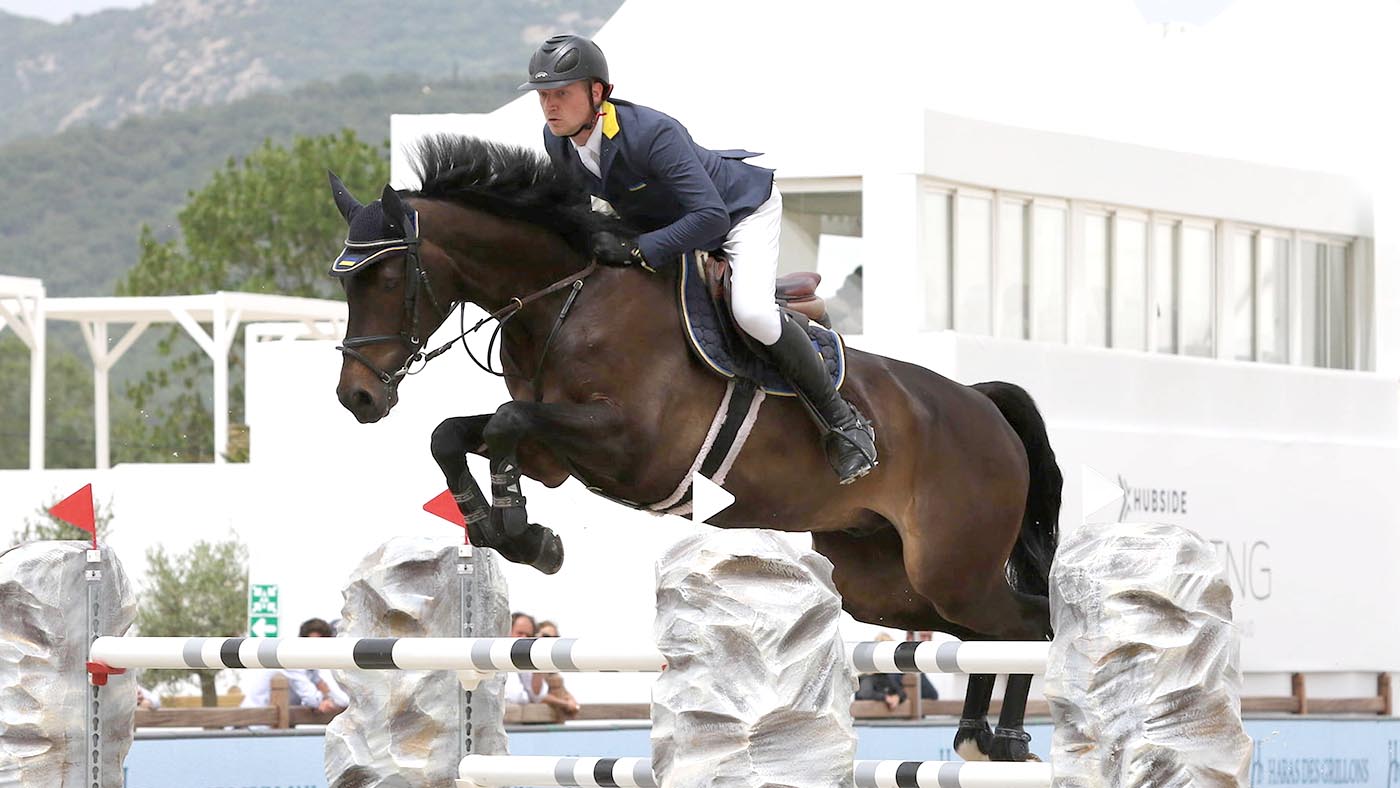 international showjumper