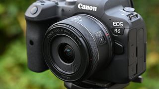 Canon RF 16mm f/2.8 STM lens on a Canon R6 camera outside