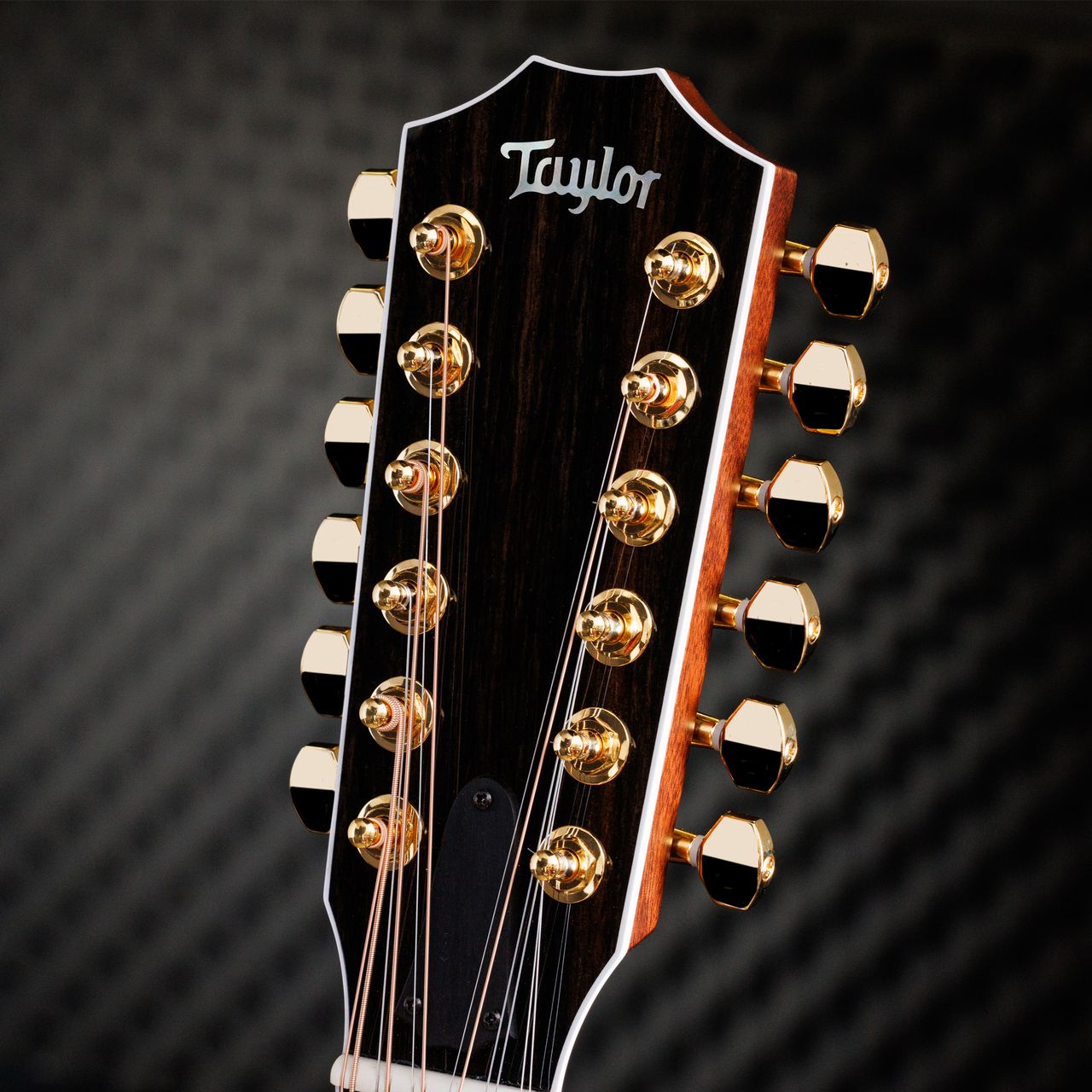 Photos of the Taylor Guitars 50th Anniversary 858E LTD Grand Orchestra 12-String