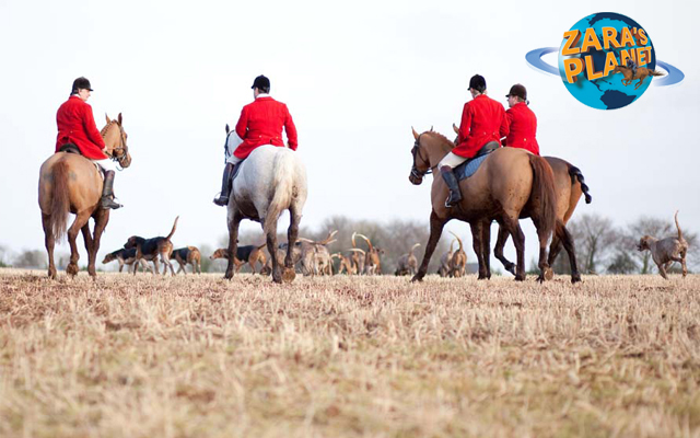 Ireland-hunting_640x400-1.jpg