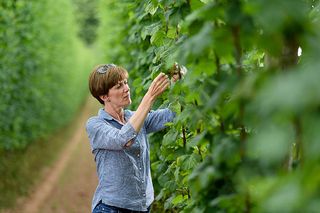 The things you need to know about British beer: ©Joe Bailey / Country Life