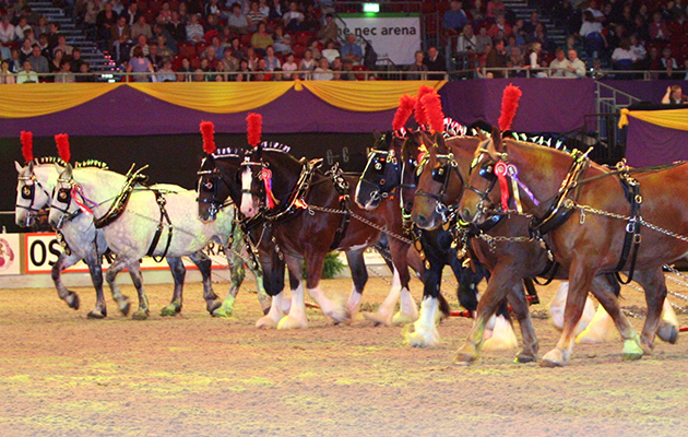 507_0737