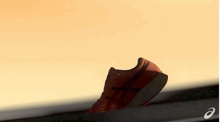 metaracer vs vaporfly