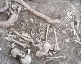 Skeleton remains scattered on ground of dried dirt.