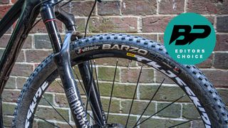 A mountain bike wheel and tire