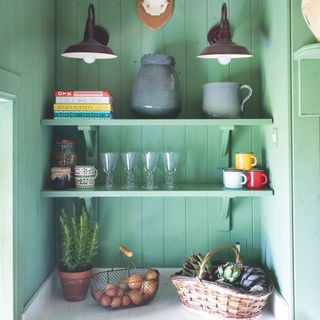 alcove in green kitchen with wood panel green walls and open shelves with wall lights and glasses and mugs