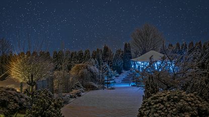 A garden at night in winter, with uplit trees and lights on the gazebo