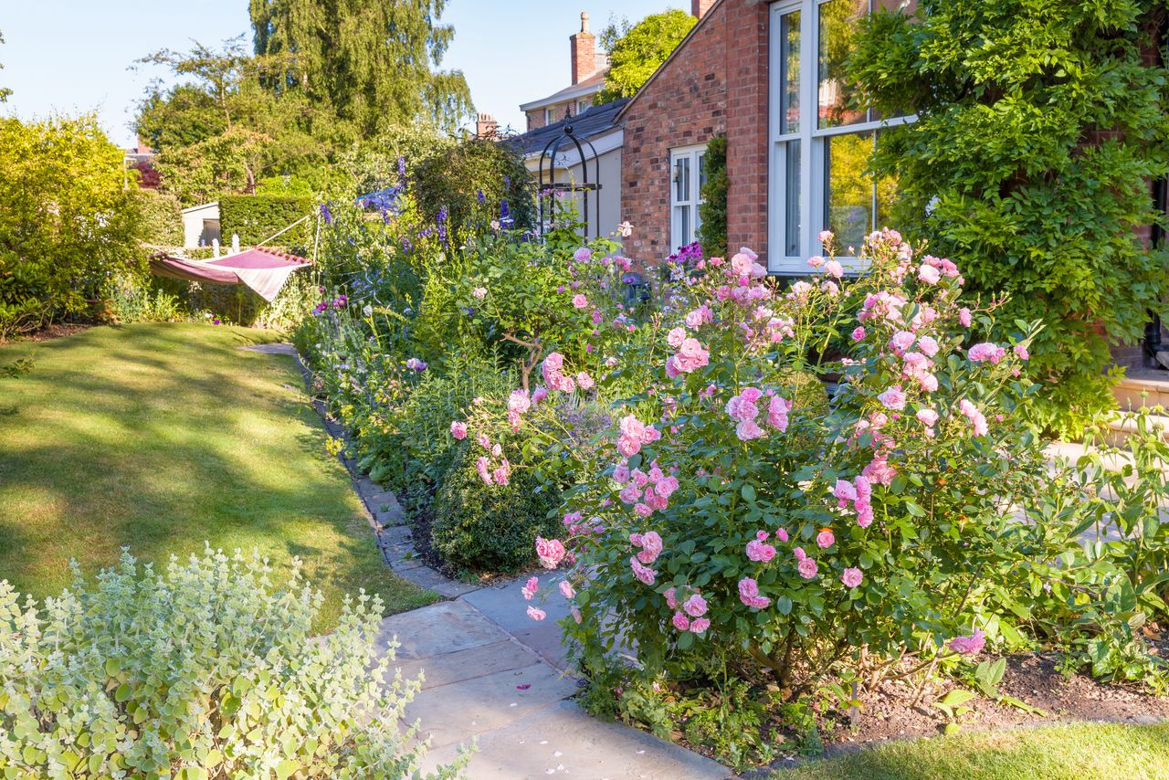 Secluded courtyard garden 