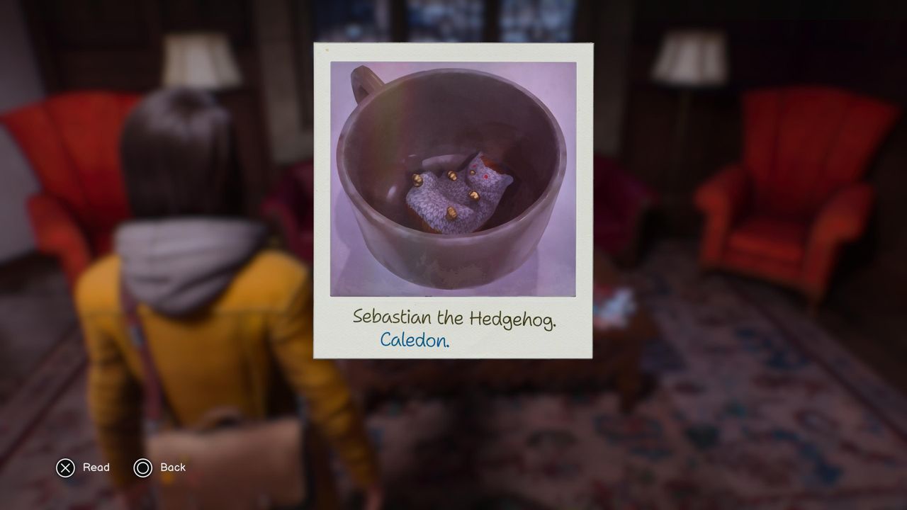 Life is Strange: Double Exposure Polaroid 2, chapter 3