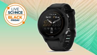 Garmin Forerunner 955