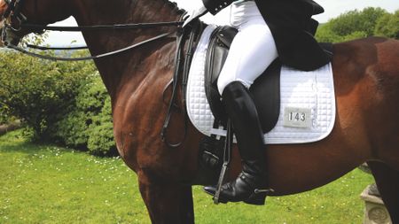 A close-up of a dressage rider and horse in competition gear