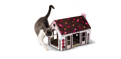 Valentine's Day cat house