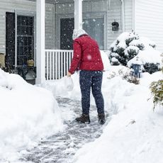 A senior adult woman is sprinkling/spreading de-icing salt crystals on her home's front walkway to melt the slippery ice and snow.