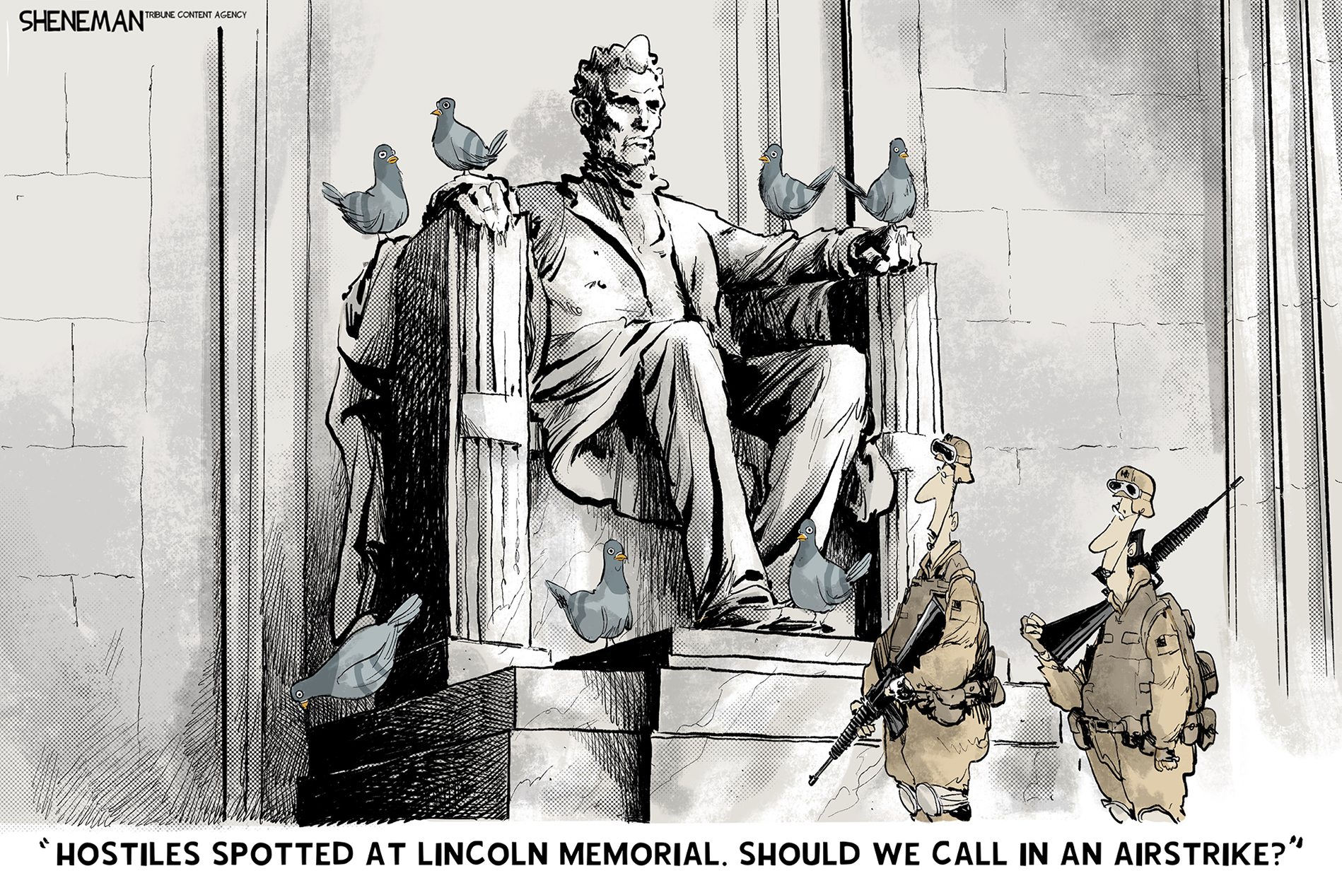 This cartoon depicts a group of pigeons on the Lincoln Memorial. There are two armed National Guardsmen here and one says, “Hostiles spotted at Lincoln Memorial. Should we call in an airstrike?”