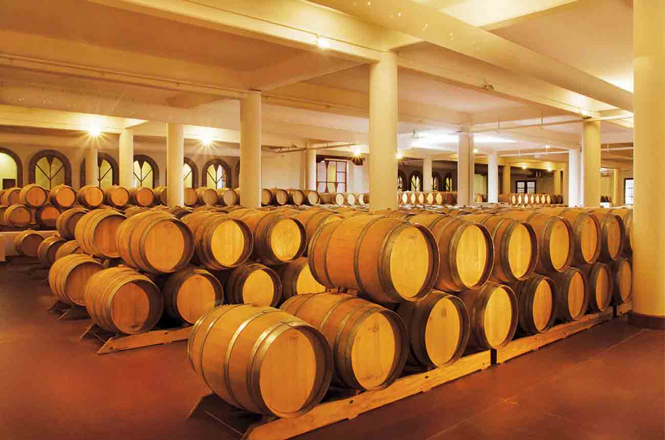 Wine barrels at Bodega Flechas de los Andes winery in Uco Valley