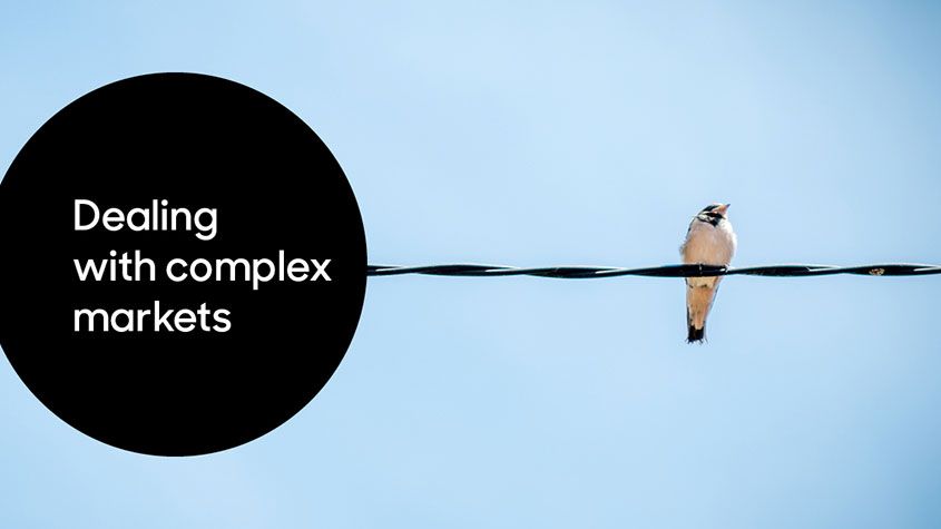 A swallow on a telephone wire