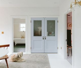 white hallway with Pale blue wood doors, carpet and glass sconces and dog