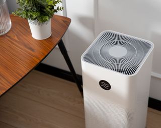 Air purifier in house with plants