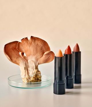 Lipsticks next to pink fungi