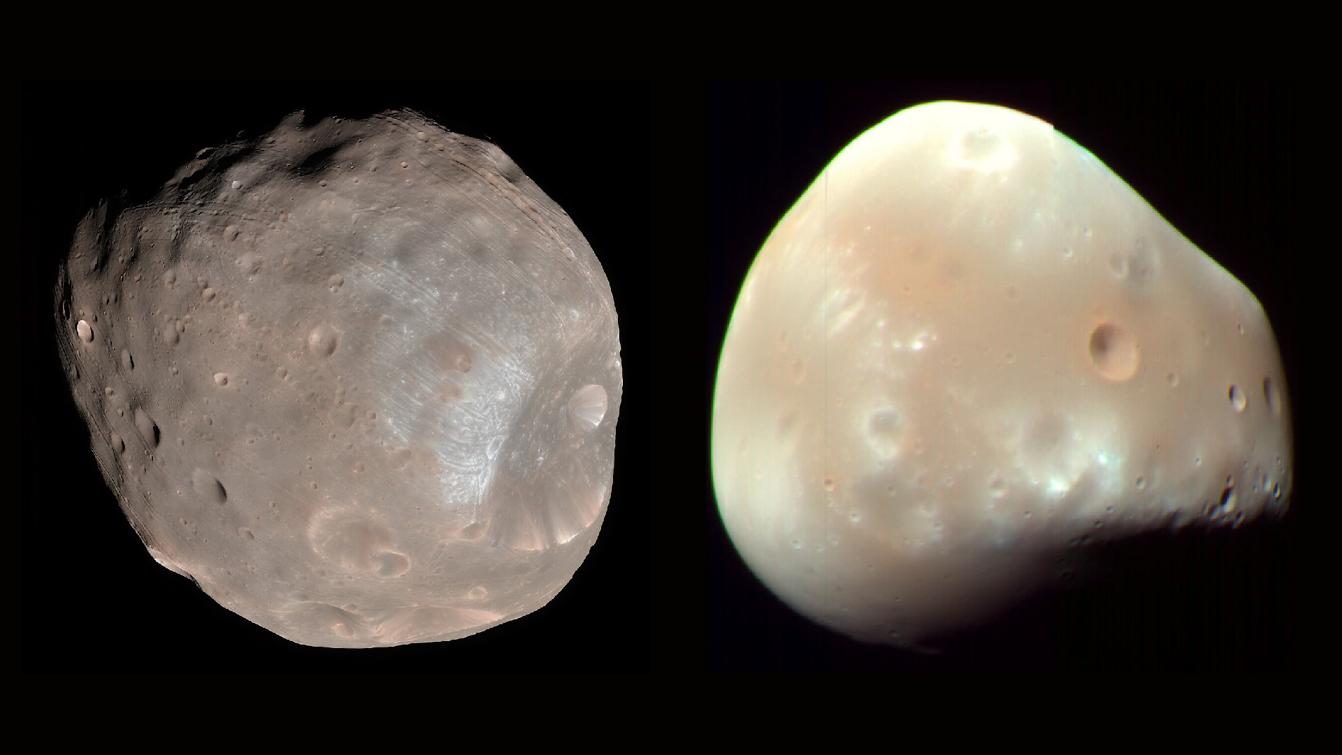 A composite image of two bumpy, potato-shaped moons
