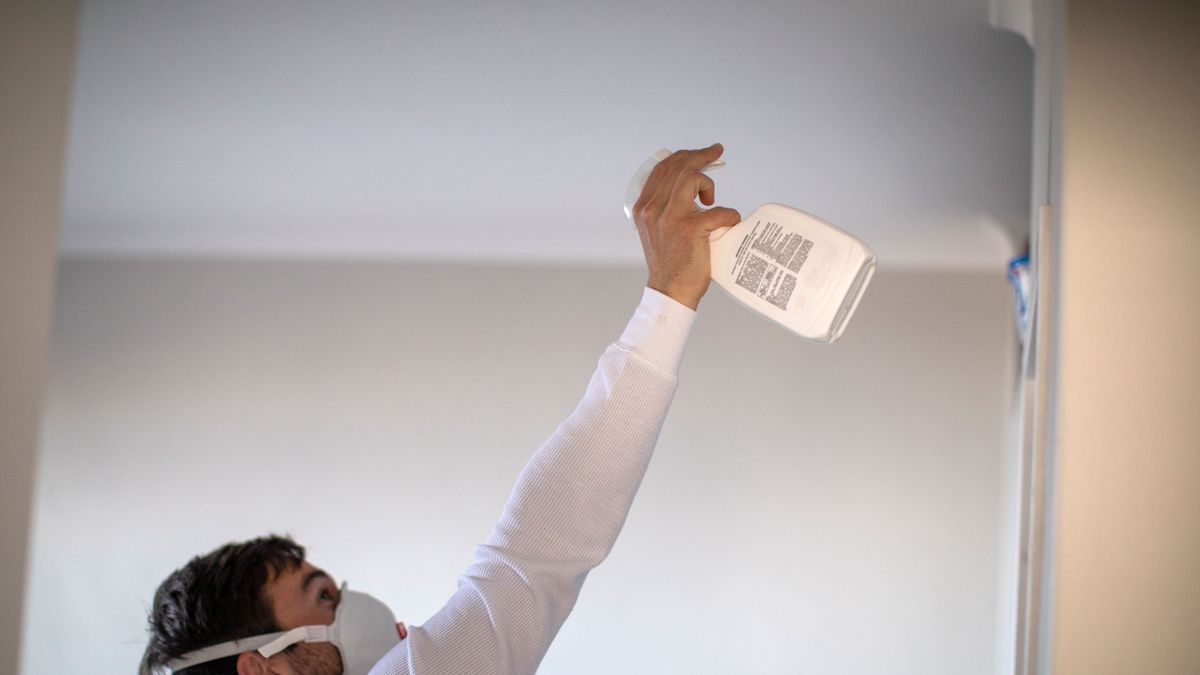 Painting Over Mould How and When you Should do it Homebuilding