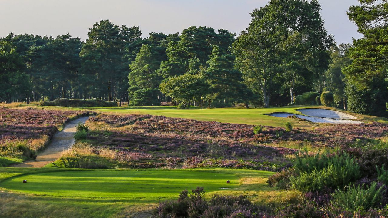 West Sussex - Hole 12
