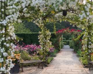 The Queen Mother's Rose Garden at RHS Rosemoor