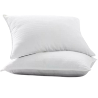 Becky Cameron Cooling Luxury Gel Fiber Pillows | Was $64.99