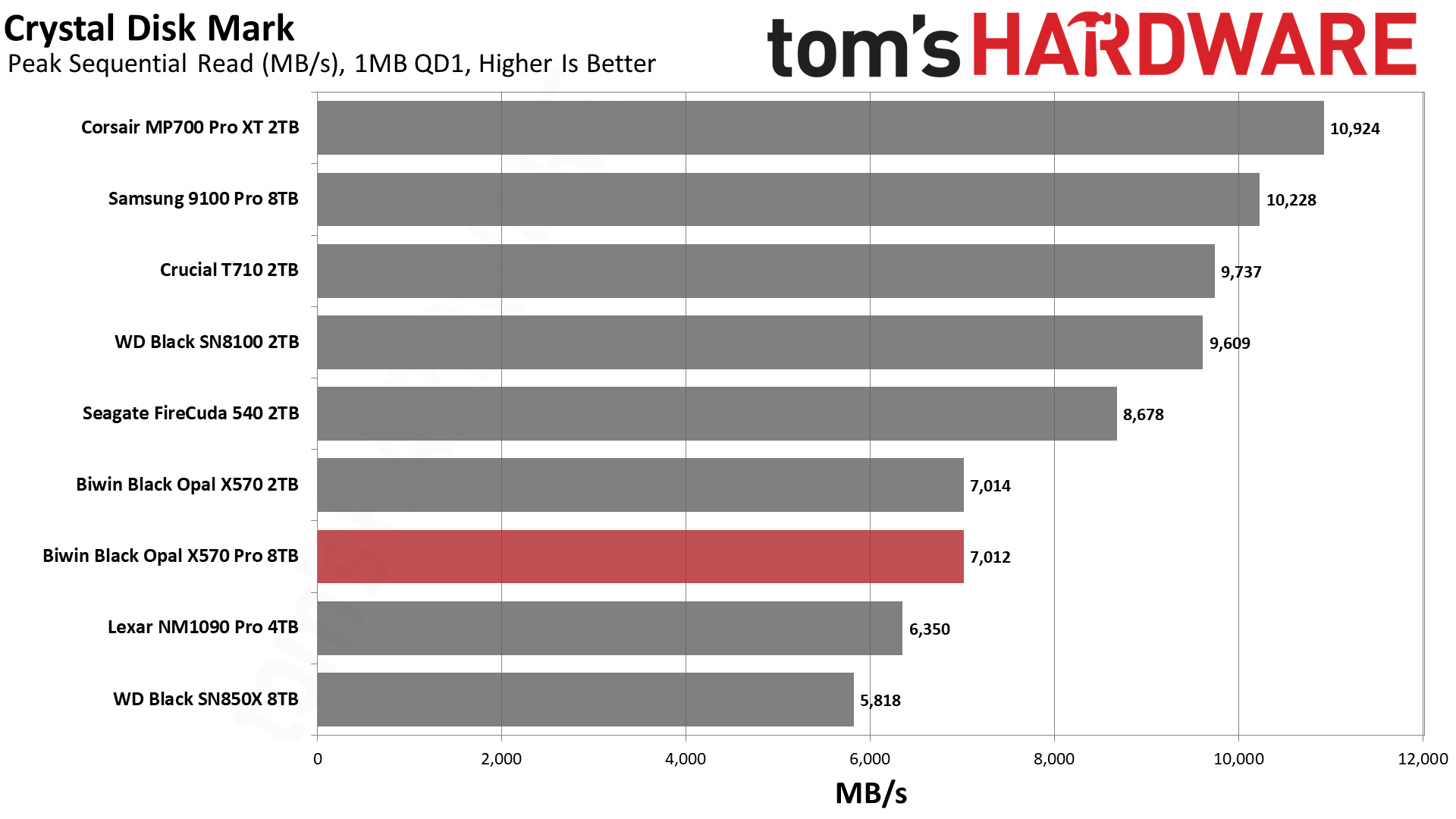 Biwin Black Opal X570 Pro SSD
