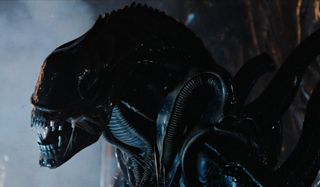 Alien Xenomorph