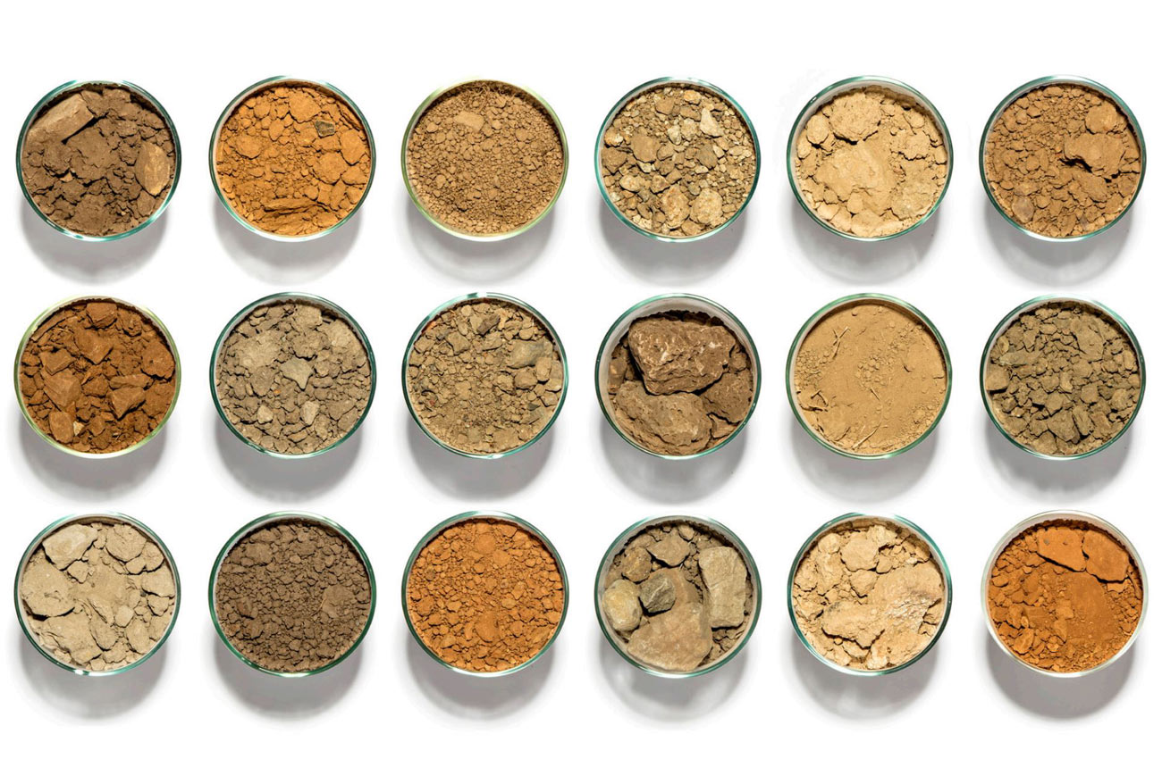 V&eacute;rit&eacute; wines