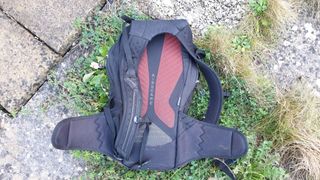 Backpack on ground showing back panel