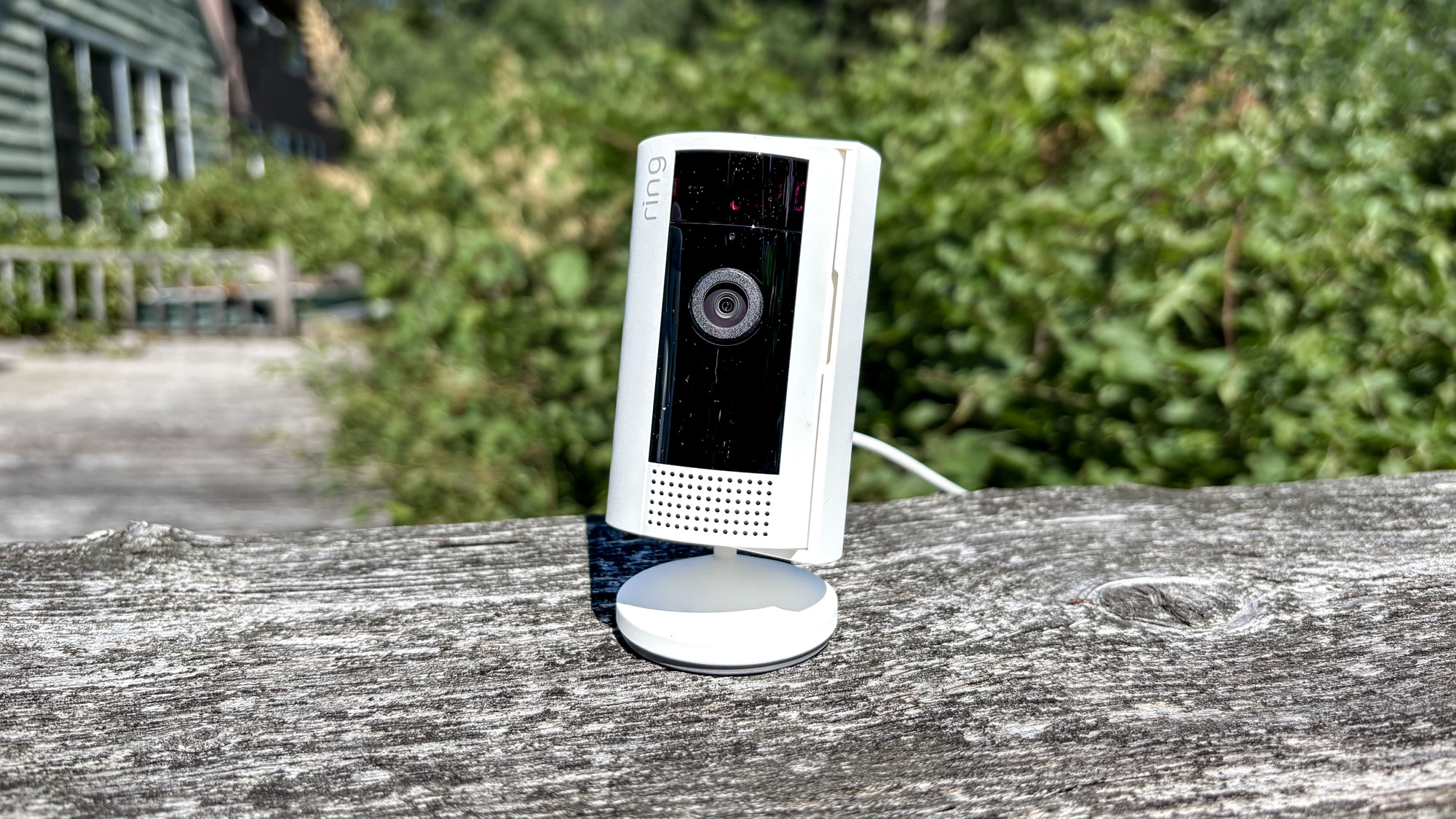 A Ring home security camera outside on a bench in front of green bushes.
