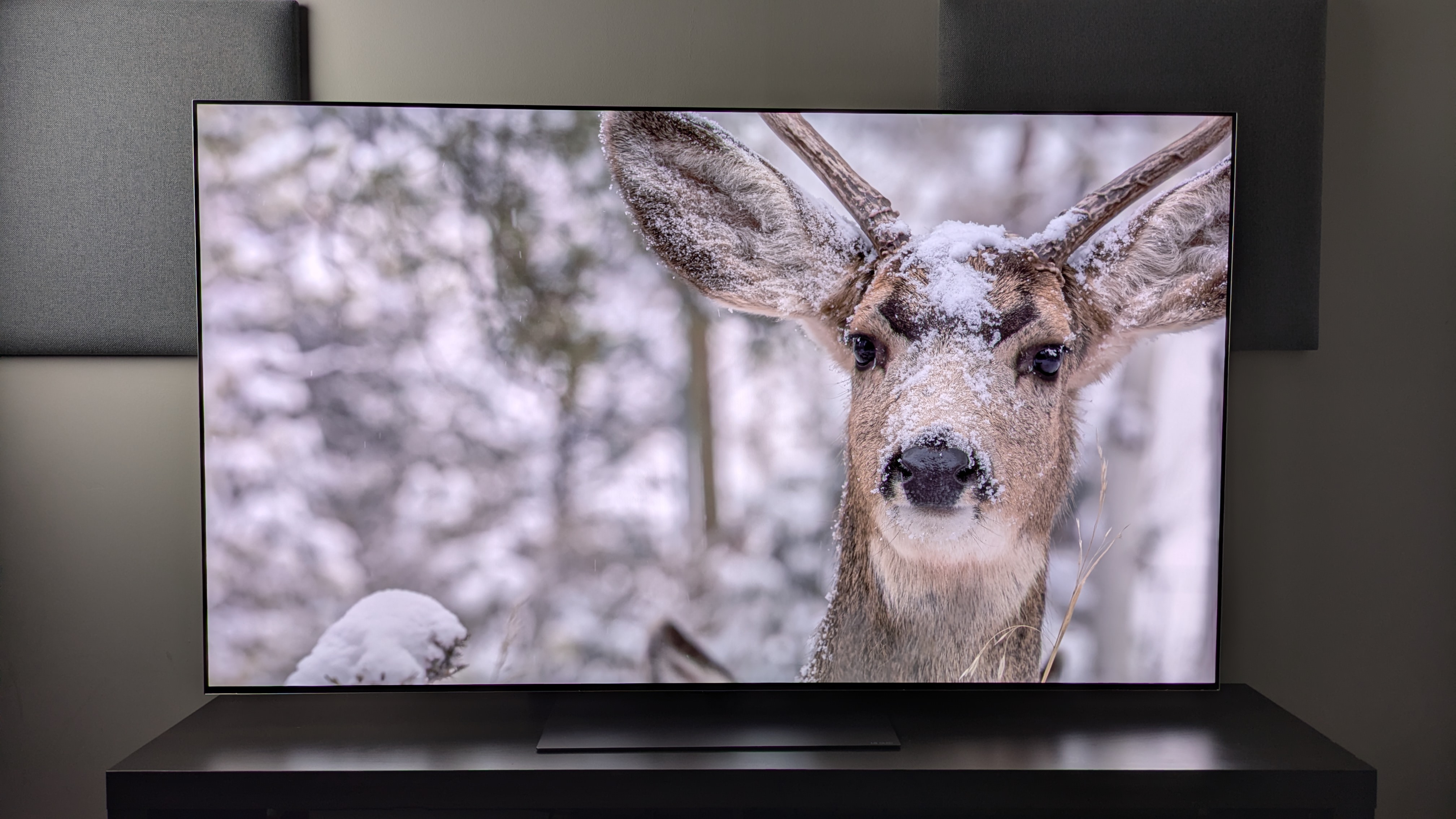 LG G6 OLED TV showing a snow covered deer on screen, delivering strong details with a balanced color profile 