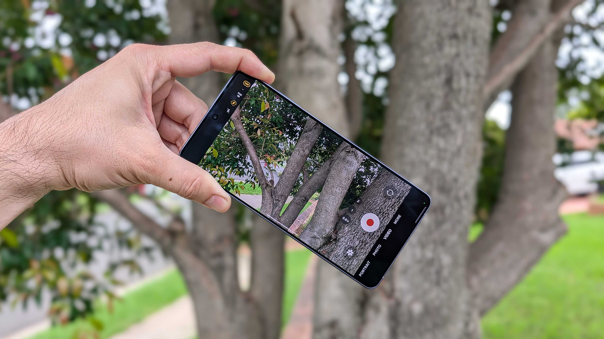 A demonstration of how Horizontal Lock model keeps the tree perfectly level in video mode, even when the phone is tilted