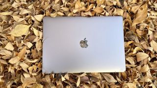 Macbook Pro M1 Leaves